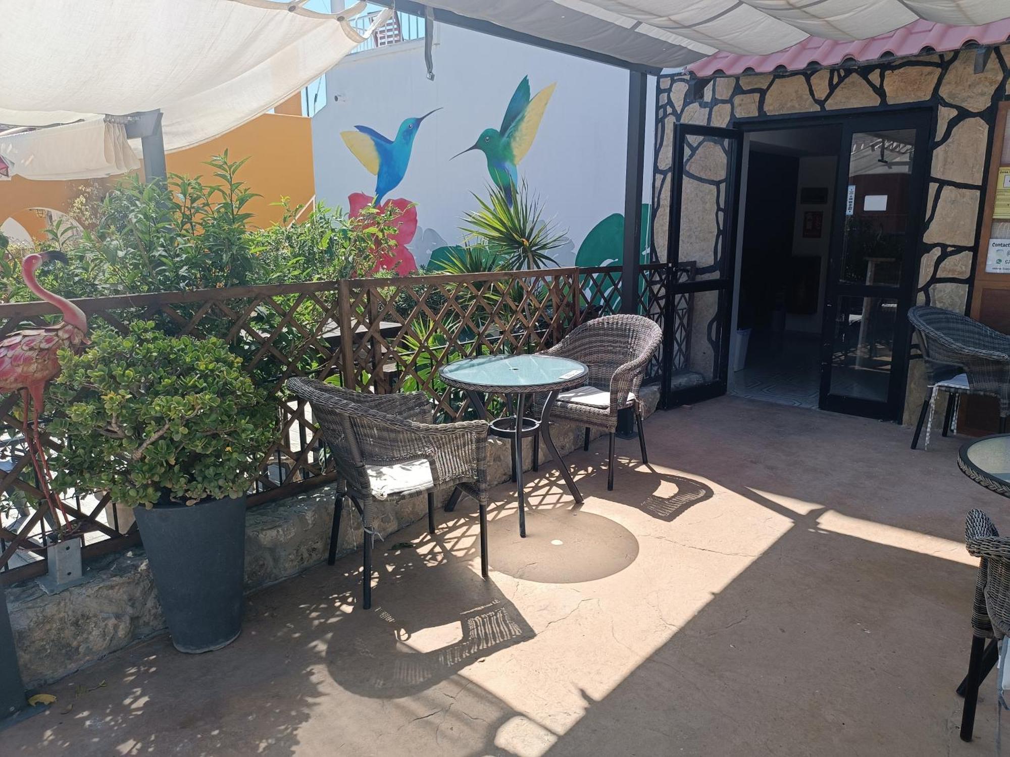 Hostal Belgica Пальма Нова Экстерьер фото